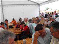 Falunap 2016.
