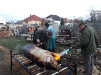 Diszn�tor 2022.