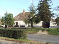 K�zs�g�nk