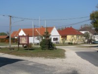 Bakonysz�csi k�pek