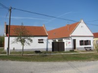 Bakonysz�csi k�pek