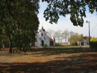 Bakonysz�csi k�pek