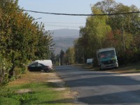 Bakonysz�csi k�pek