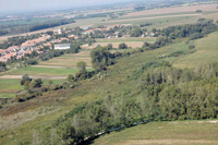 L�gifelv�telek