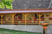 Bakonysz�csi sz�ll�