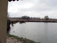 A bakonysz�csi t�